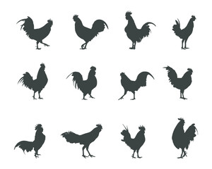 Rooster silhouettes, Rooster silhouette set, Rooster animal silhouette