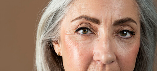 Calm serious old european lady with gray hair looks with her eyes at camera, isolated on brown background
