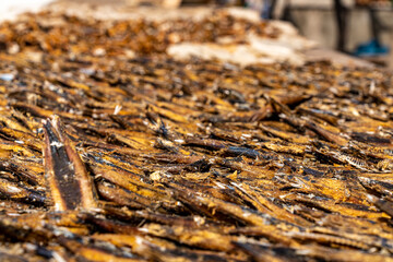 Tanjil Fishing Village, The gambia, Africa