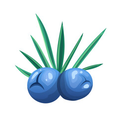 juniper branch cartoon vector illustration color sign