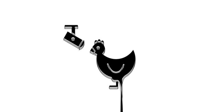 Black Chicken farm and wireless Controlling CCTV security camera icon isolated on white background. 4K Video motion graphic animation