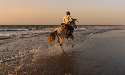 Horse rider at sunset Tanjil Fishing Village, The gambia, Africa - obrazy, fototapety, plakaty