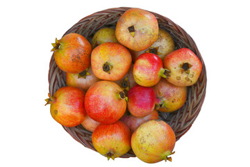 Fresh raw organic pomegranate in a basket isolated on white
