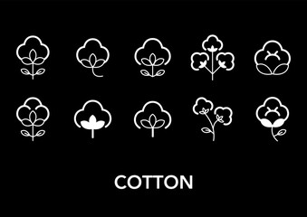 ORGANIC BIO COTTON