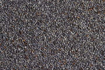 Poppy seeds on the table close up