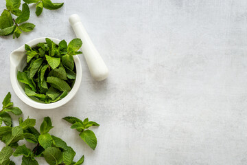 White mortar with fresh green mint leaves. Aroma herbs background