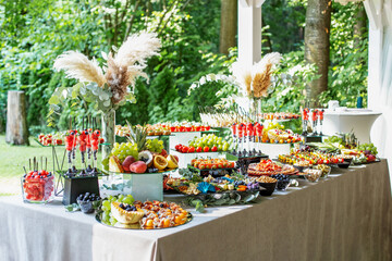 catering buffet table with snacks and appetizers. Set of varios fruits and berries. Decorative vase