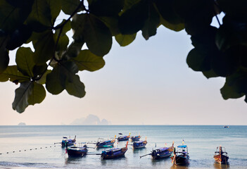 Longtail boats at Sunrise on Koh Phi Phi island