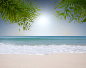 View of nice tropical beach with some palms