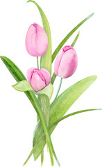 Watercolor Illustration Spring Bouquet With Tulips