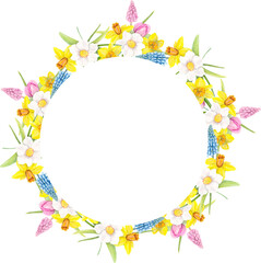 Watercolor Illustration Spring Frame With Muscari, Daffodils, Tulips, Leaves.