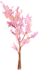 Obraz na płótnie Canvas Watercolor Blooming Tree Sakura