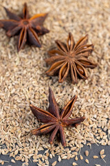 Whole fragrant star-shaped Anise Spices