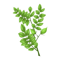 chickpea plant cartoon vector illustration color sign