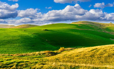 countryside green field during sunrise of sunset in warm light. beautiful spring landscape in the mountains. grassy field and hills. rural scenery