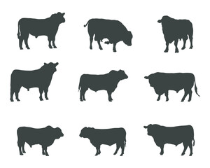Aberdeen angus silhouettes, Aberdeen angus silhouette set