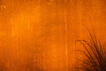 Naklejka premium Iron rusty wall in direct sunlight with the shadow of a plant cast upon.