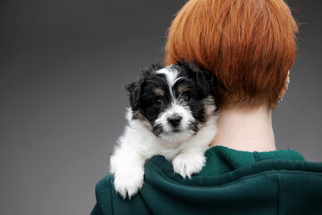 Cute young woman hugs her puppy Terrier dog. Love between owner and dog. Studio portrait.
