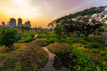 natural background of many species of plants that are laid out in the park, for the propagation of the species and to provide shade for those who stop by while traveling to study the ecology.