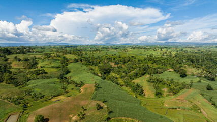 Fototapeta premium Top view of Farmland and mountains with green forest. Negros, Philippines.
