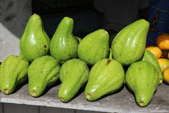 Cuban hand-sized green avocados, Cuba
