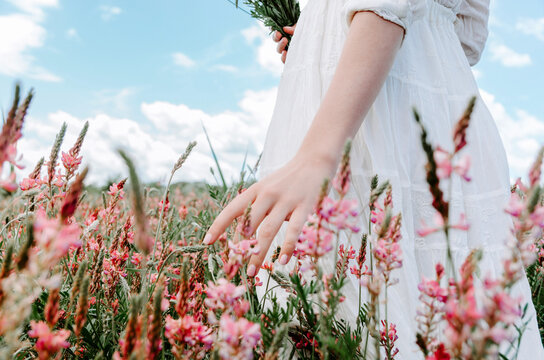 Close up hand of woman in white dress touching blossoming pink flowers in a flower field