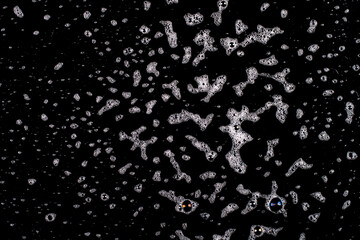 Splashes of white foam on a black background.