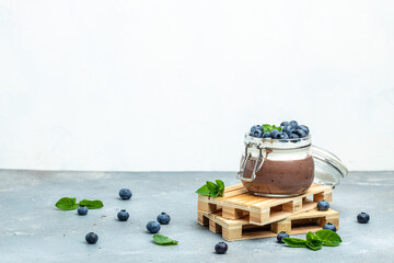 yogurt and blueberries. Healthy breakfast. Super food healthy eating vegetarian vegan food. banner, menu, recipe place for text, top view