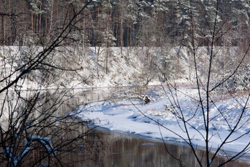 snow-covered trees in a nature park on the bank of a river where pieces of ice float in the water