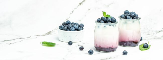 yogurt and blueberries. Healthy breakfast. Super food healthy eating vegetarian vegan food. Long banner format