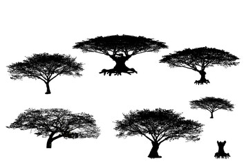 Collection of dead tree,dry tree, isolated on white background.Trees Silhouettes Set.