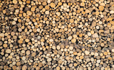 Lots of firewood stacked