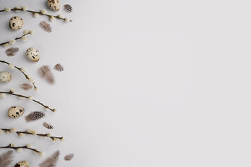 Eco Easter mockup. Pussy willow branches, natural quail eggs and feathers on light grey background. Spring holiday composition layout. Willow catkins and eggs template. Top view, flat lay, copy space. - obrazy, fototapety, plakaty