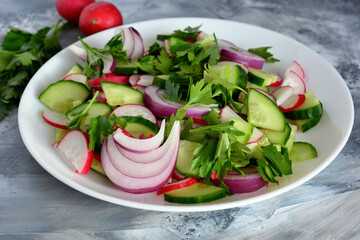 vegetable salad with radish and cucumber isolated on white plate, macro