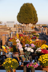 Graveyard with flowers. France.