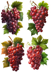 Four different beautiful large realistic bunches of red grapes on a transparent background, Generative AI
