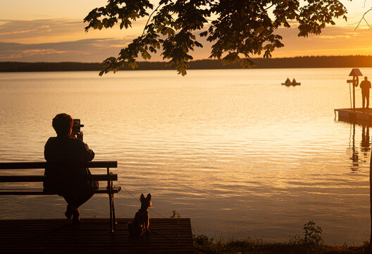 Summer sunset by the calm lake with woman sitting on bench by lakeside with her dog, copy space