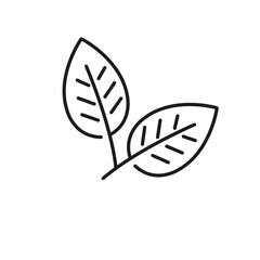 Leaf icon line style. Vector line art leaf icon.