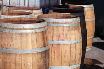 Botti, barrique, di legno per la conservazione e l'invecchiamento di vini. Luce autunnale