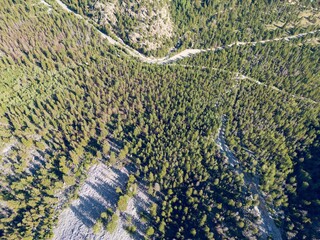 Aerial view of Mountain forest