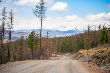 Fototapeta na wymiar Road on the background of beautiful mountains in spring forest, Altai, Russia