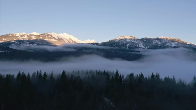 Green Trees in Forest with Fog and Mountains. Winter Sunny Sunrise. Canadian Nature Landscape Background. Near Squamish, British Columbia, Canada.