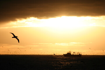 Buque pesquero de arrastre durante una puesta de sol en medio del Atlantico norte, rodeado de agua y de aves marinas