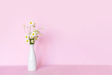 white vase with a branch of blooming white daisies on the table. soft pink background. Minimalist concept with space for text.
