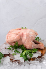 frozen raw chicken with vegetables on the ice on wooden board on the.gray rock background