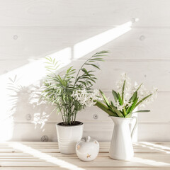 Home interior with Easter decor. Spring flowers in a vase, indoor plant on the background of a wooden white wall