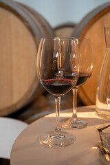 Tasting of rioja wines, visit of winery cellars with french or american oak barrels with agening red wine, Rioja wine making region, Spain