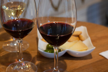 Tasting of different rioja wines, visit of winery cellars, Rioja wine making region, Spain
