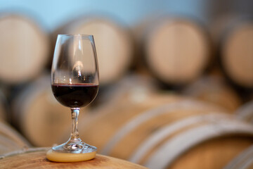 Tasting of rioja wines, visit of winery cellars with french or american oak barrels with agening...