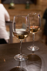Tasting of different rioja wines, visit of winery cellars, Rioja wine making region, Spain